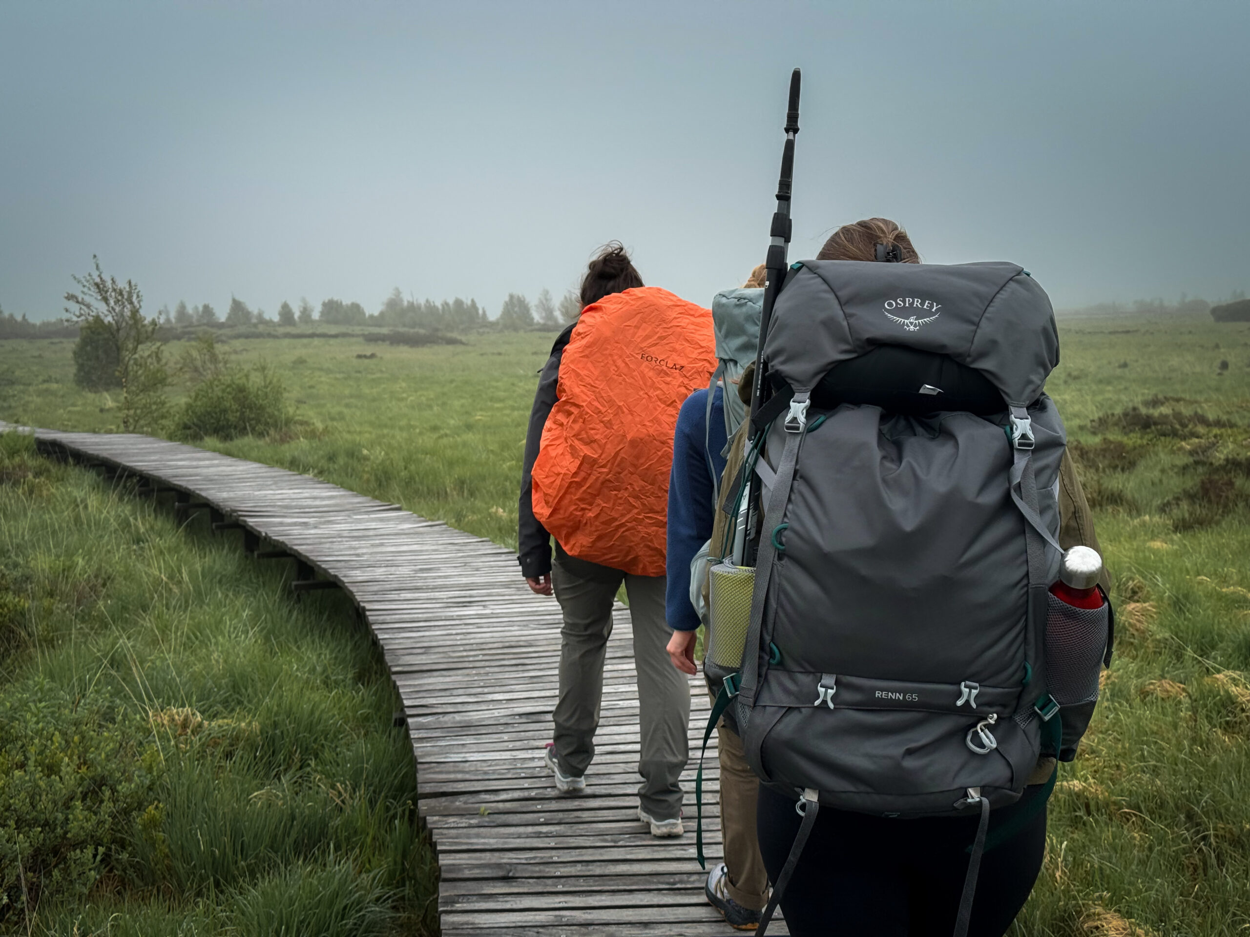 Un groupe qui pratique la randonnée et bivouac le temps d'un weekend progresse sur le plateau des Hautes-Fagnes. Il se dirige vers le Noir Flohay. Ils marchent sur un ponton.