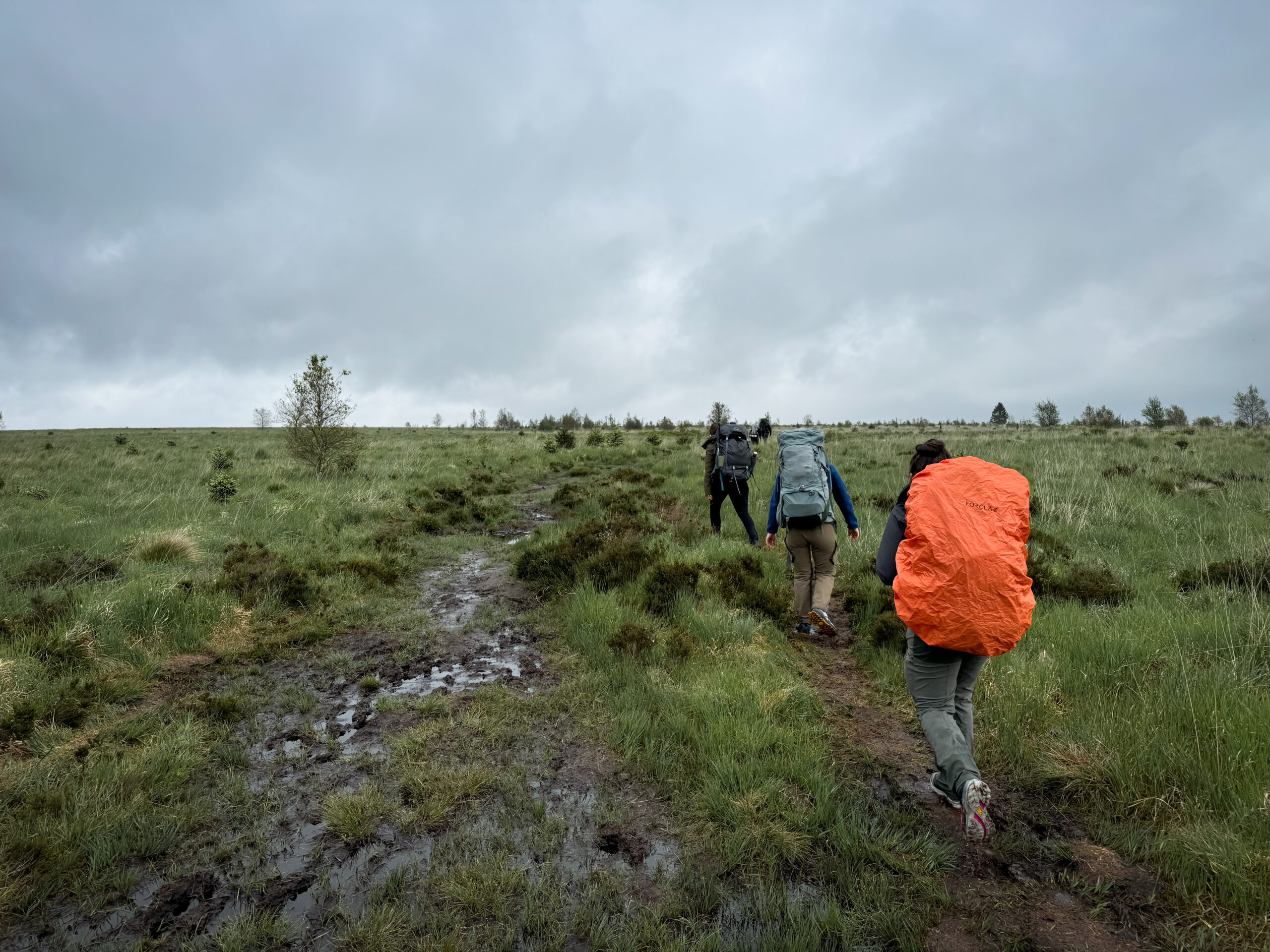 Des amis progressent durant une randonnée sur le plateau des Hautes-Fagnes. Le terrain est spongieux. Ils ont des sacs à dos et participent à un weekend randonnée et bivouac.