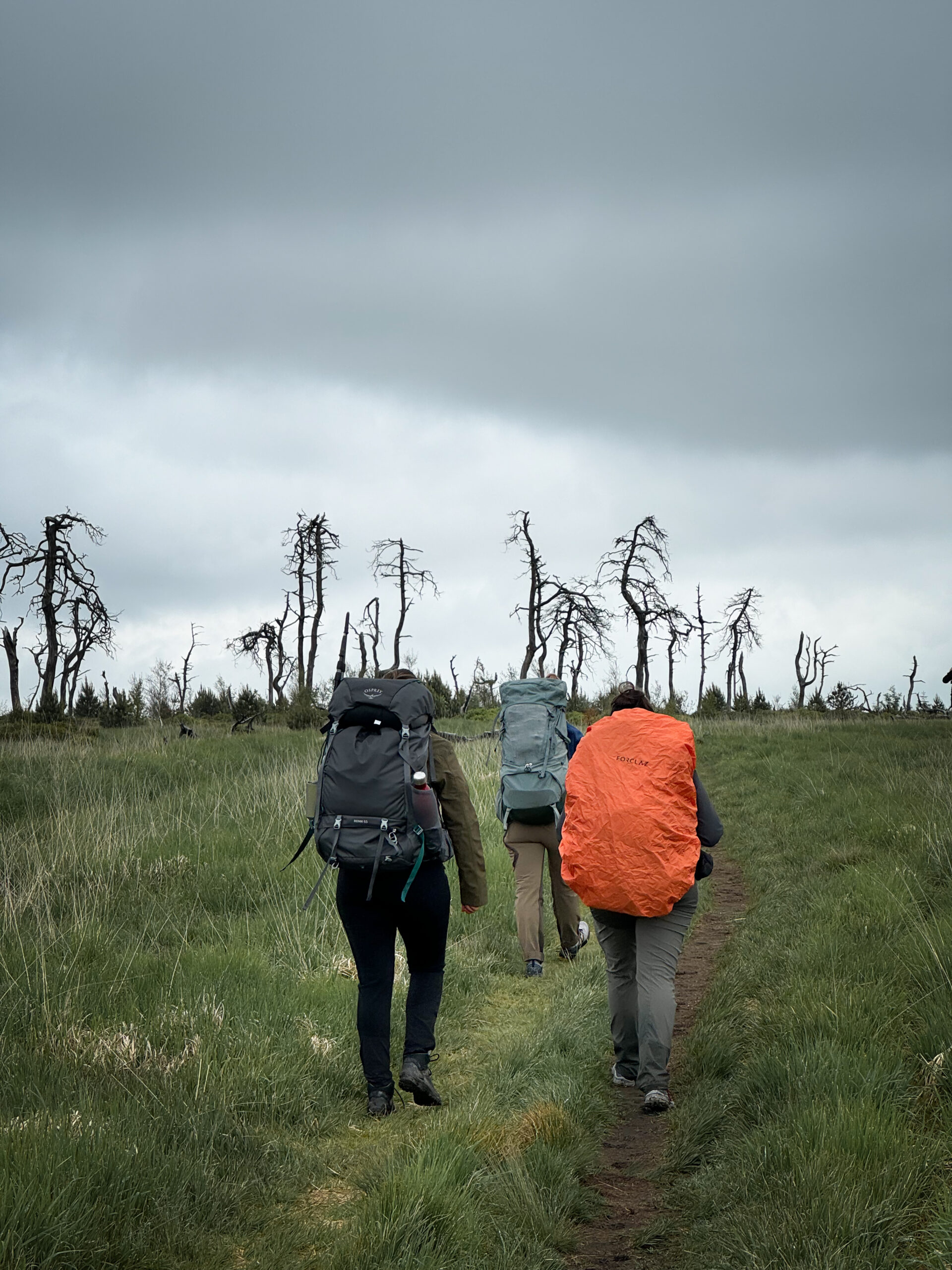 Un groupe qui pratique la randonnée et bivouac le temps d'un weekend progresse sur le plateau des Hautes-Fagnes. Il se dirige vers le Noir Flohay. Le terrain est très spongieux.