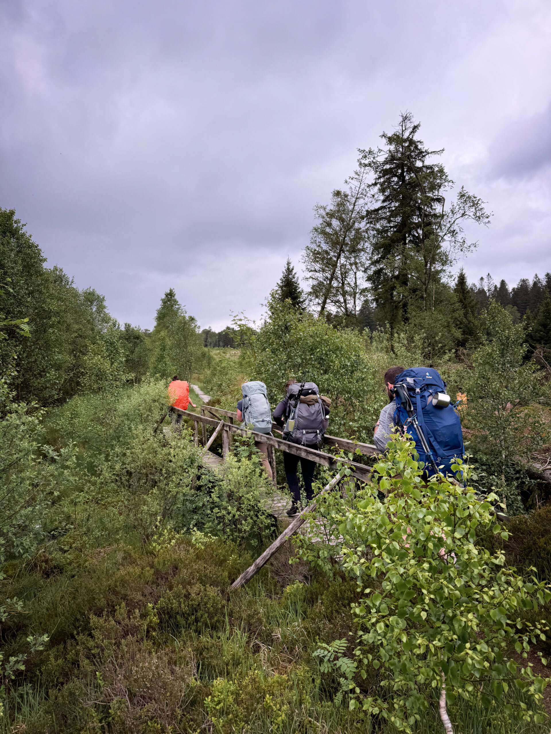 Un groupe qui pratique la randonnée et bivouac le temps d'un weekend progresse sur le plateau des Hautes-Fagnes. Ils se dirigent vers le lieu du bivouac.