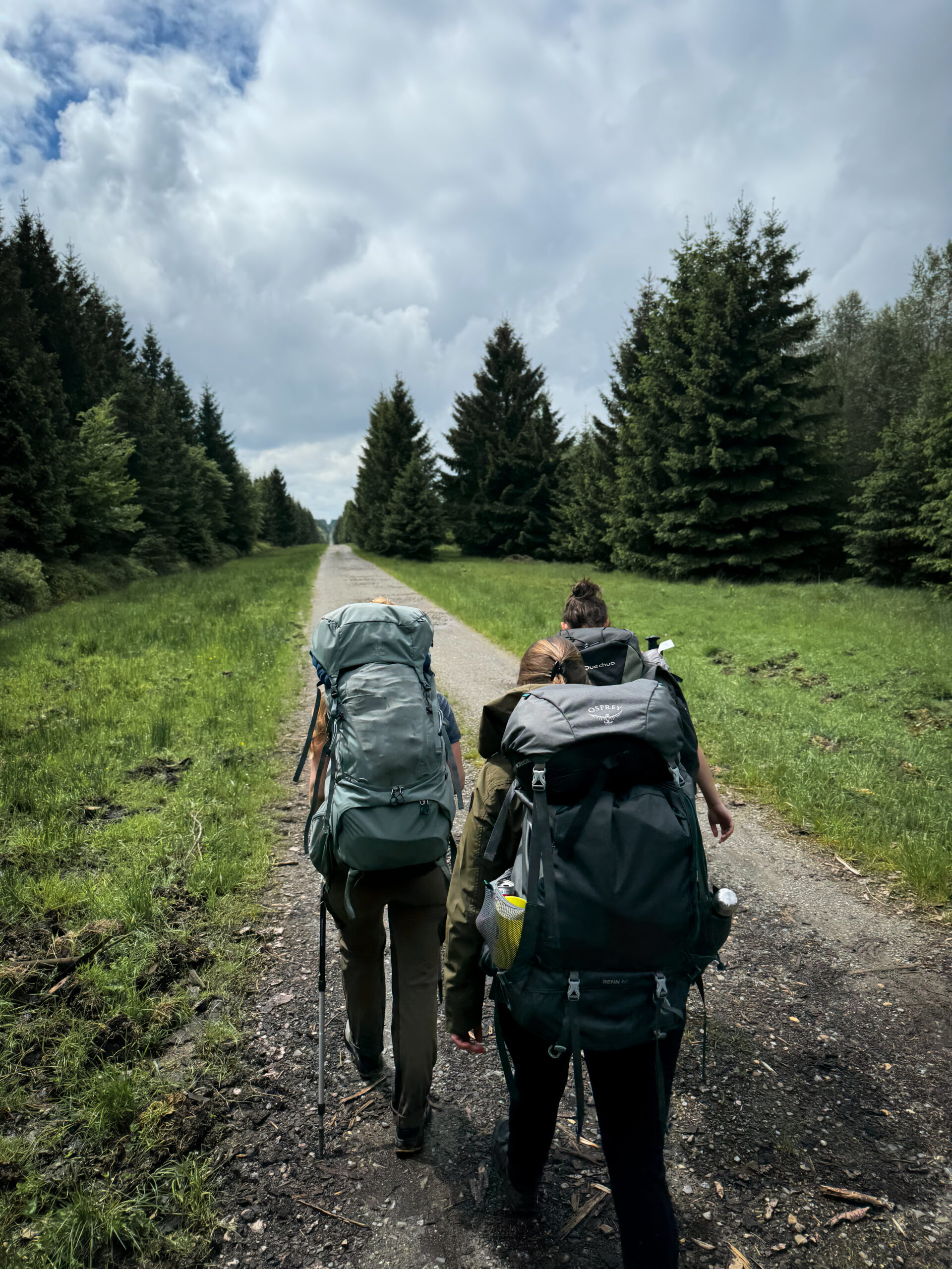 Un groupe qui pratique la randonnée et bivouac le temps d'un weekend progresse sur le plateau des Hautes-Fagnes. Ils se dirigent vers le lieu du bivouac.