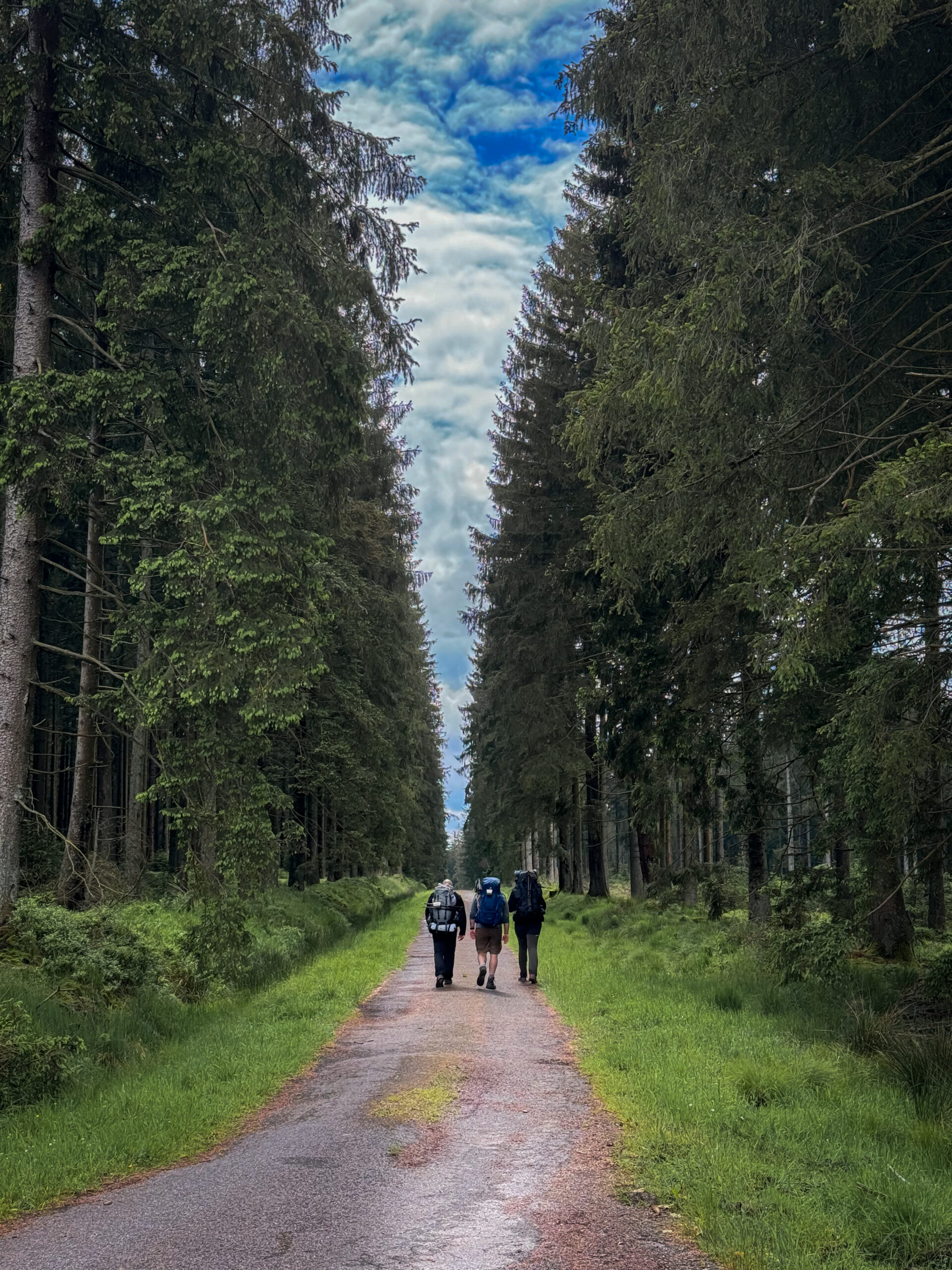 Un groupe qui pratique la randonnée et bivouac le temps d'un weekend progresse sur le plateau des Hautes-Fagnes. Ils se dirigent vers le lieu du bivouac.