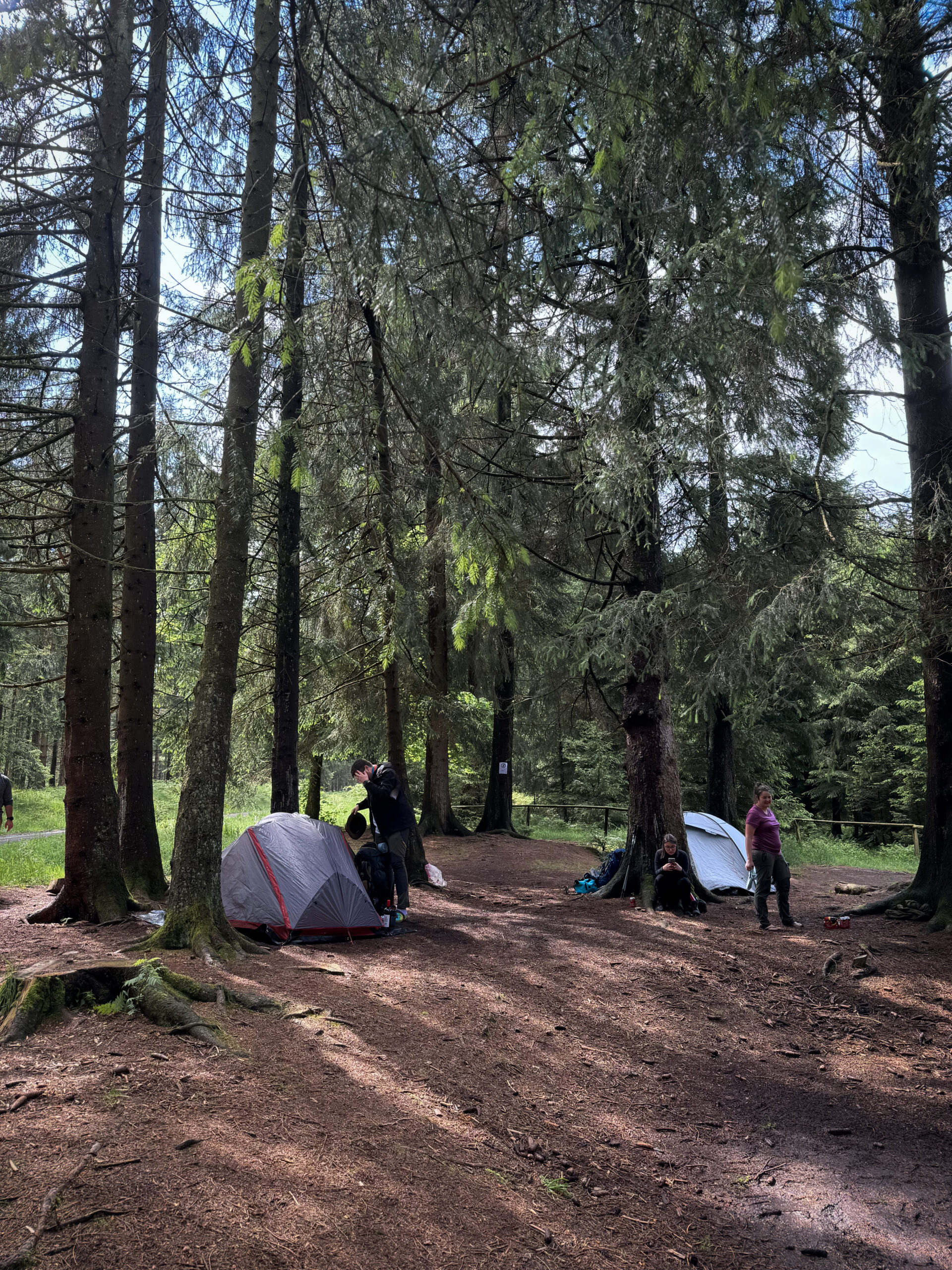 Aire de bivouac dans les Hautes-Fagnes. L'aire de bivouac de la Bergerie.