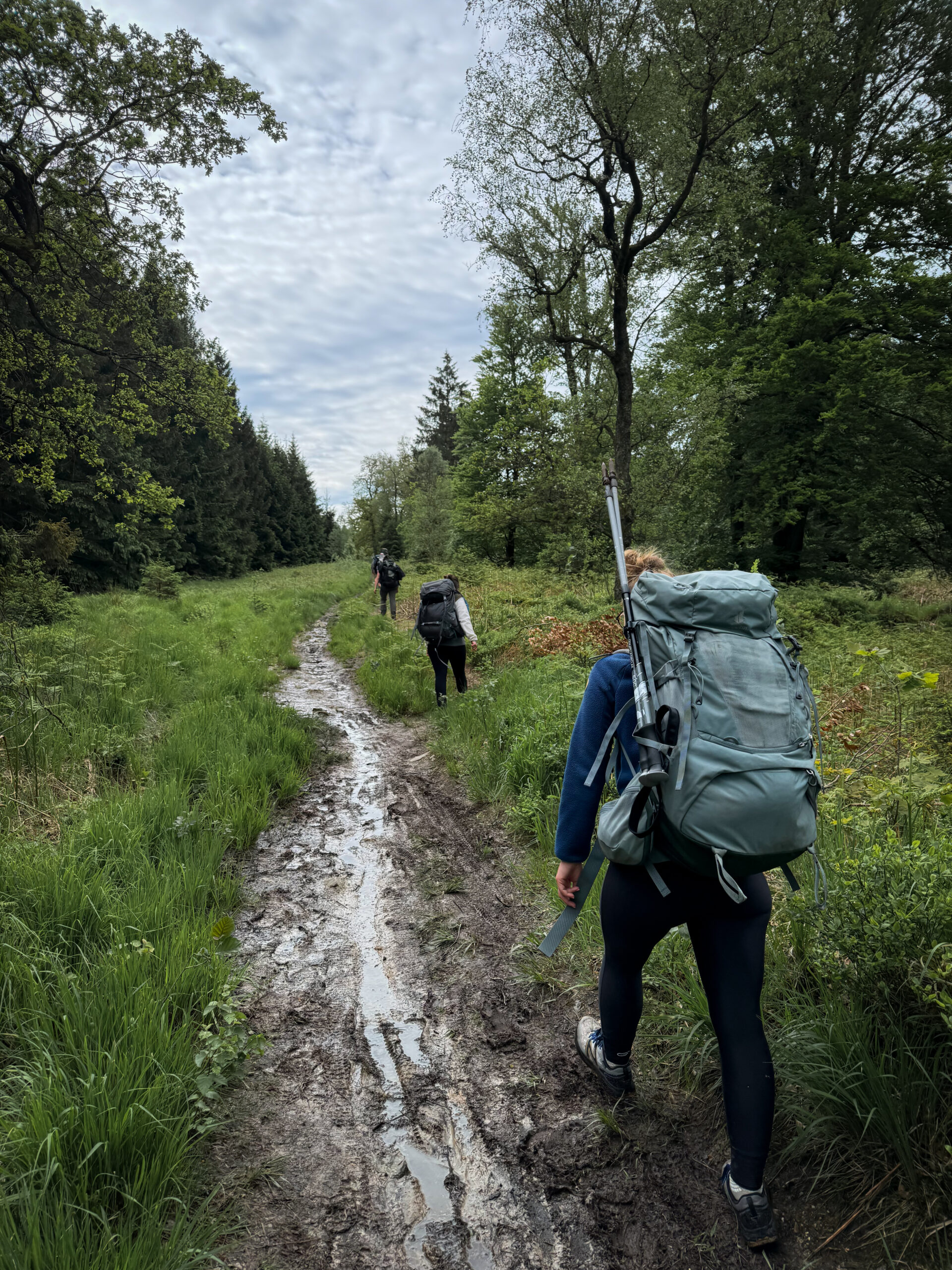 Un groupe d'amis reprend le chemin en direction de la Baraque Michel, après avoir passé une nuit sur une aire de bivouac sur le plateau des Hautes-Fagnes. Le terrain est spongieux.