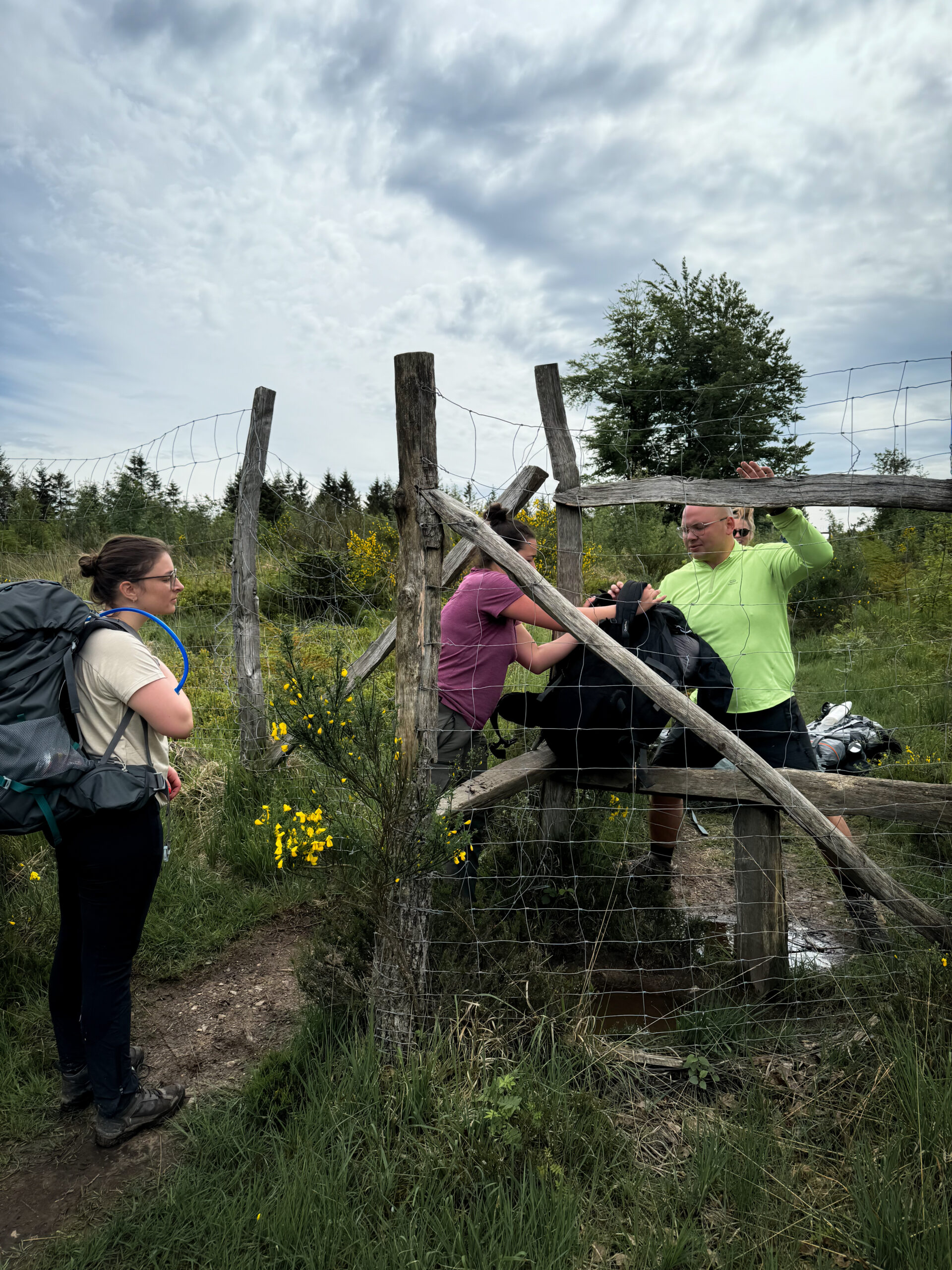 Passage compliqué sur notre chemin vers la Baraque Michel, sur le plateau des Hautes-Fagnes.