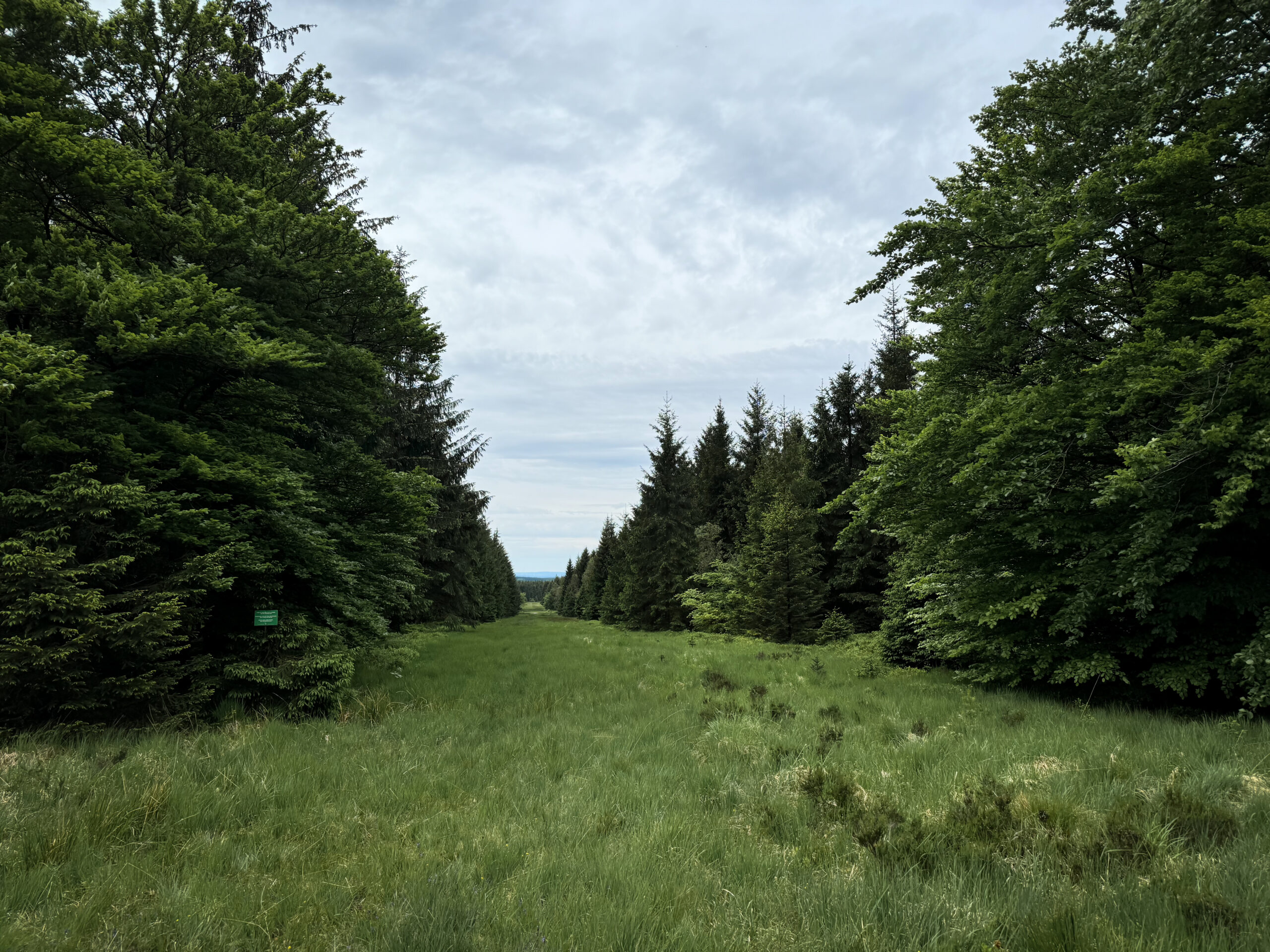 Paysage sur le plateau des Hautes-Fagnes, non loin de la Baraque Michel.