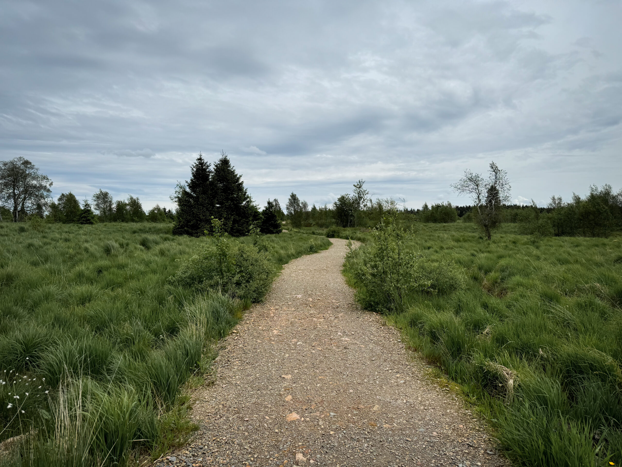 Paysage sur le plateau des Hautes-Fagnes, non loin de la Baraque Michel.